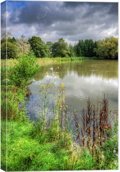 Serene Oasis in Tiddington Canvas Print by Steve Smith