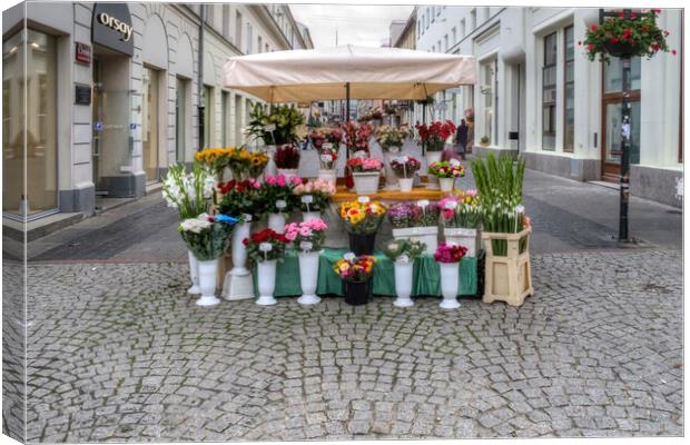 Warsaw Flower Seller Canvas Print by Steve Smith