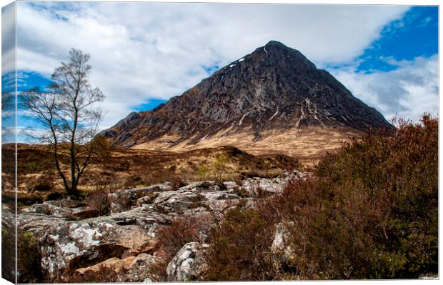 Buachaille Etive Mor Canvas Print by Steve Smith