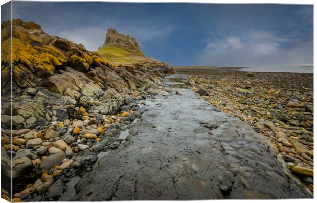 Majestic Lindisfarne Castle Canvas Print by Steve Smith