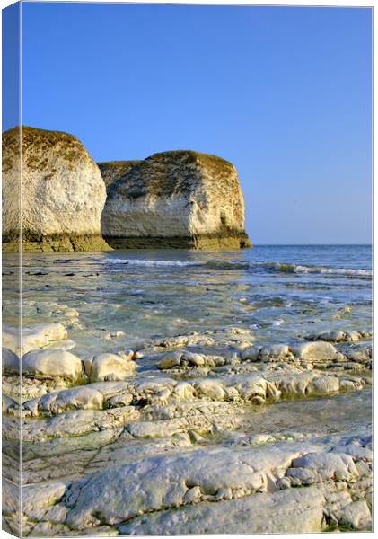 Selwicks Bay Flamborough East Yorkshire Canvas Print by Steve Smith