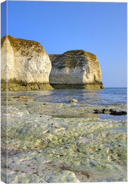 Selwicks Bay Flamborough East Yorkshire Canvas Print by Steve Smith