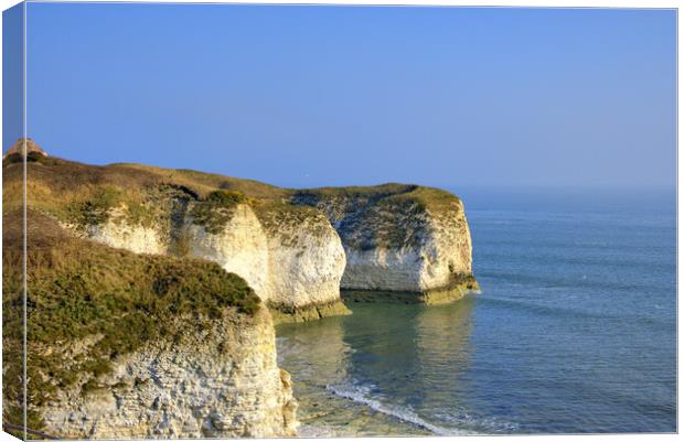 Selwicks Bay Flamborough East Yorkshire Canvas Print by Steve Smith