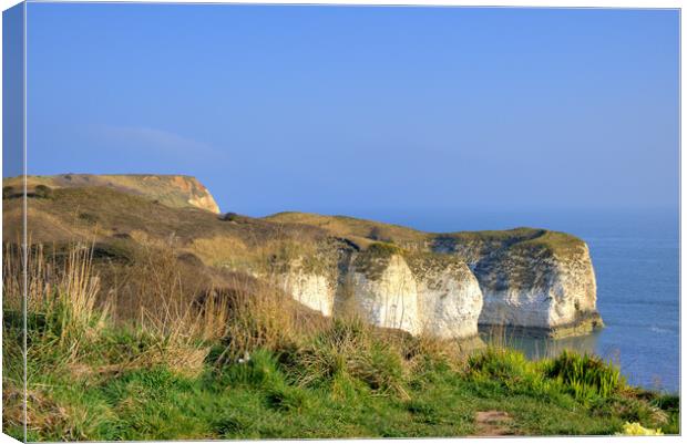 Selwicks Bay Flamborough East Yorkshire Canvas Print by Steve Smith