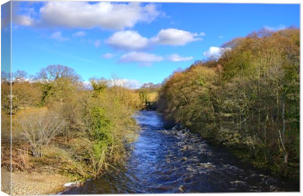 The River Swale Easby Canvas Print by Steve Smith
