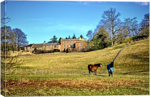 Easby Countryside Canvas Print by Steve Smith