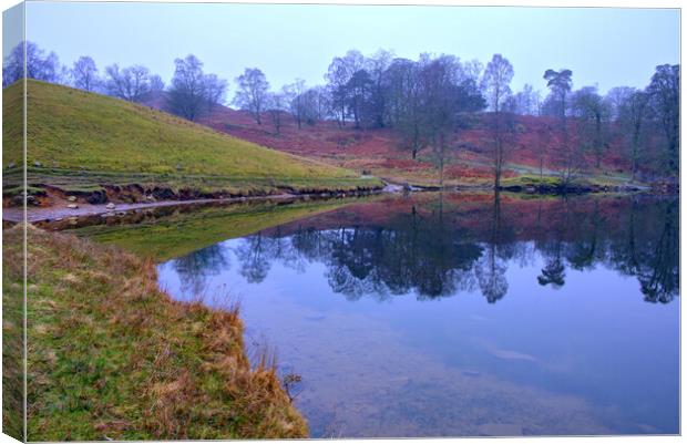 Serenity of Tarn Hows Canvas Print by Steve Smith