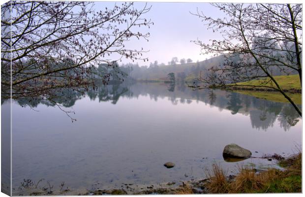 Tarn Hows Lake District Canvas Print by Steve Smith