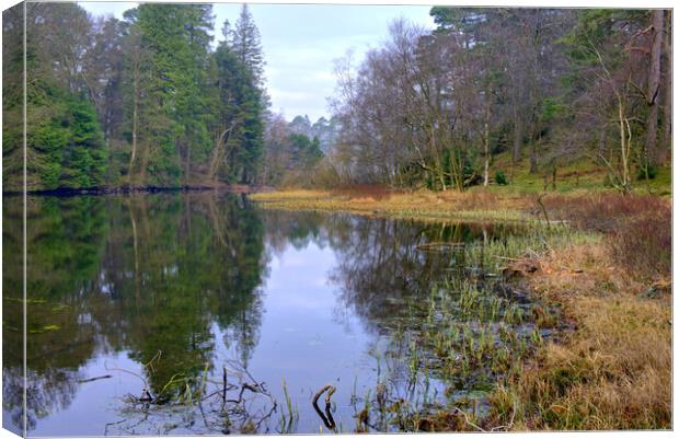 Tarn Hows Lake District Canvas Print by Steve Smith