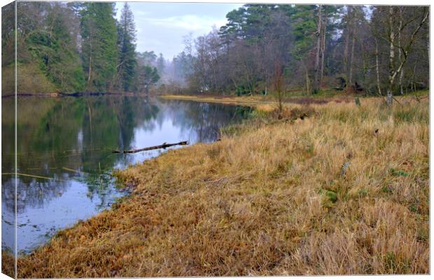 Tarn Hows Lake District Canvas Print by Steve Smith