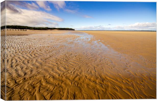 Findhorn Canvas Print by Steve Smith