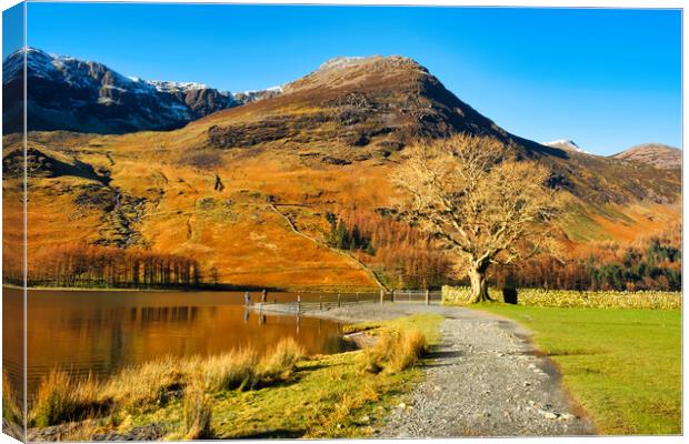 Buttermere Lake District Canvas Print by Steve Smith