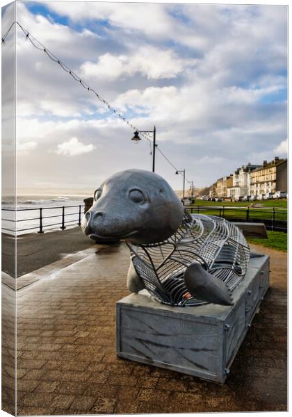 The Filey Seal Canvas Print by Steve Smith