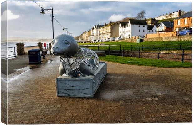 The Playful Filey Seal Canvas Print by Steve Smith