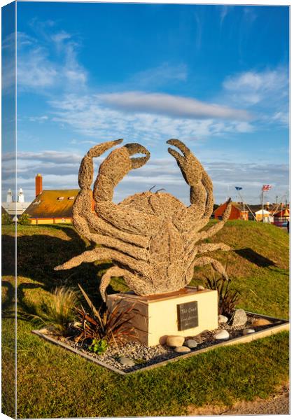 Withernsea Crab Canvas Print by Steve Smith