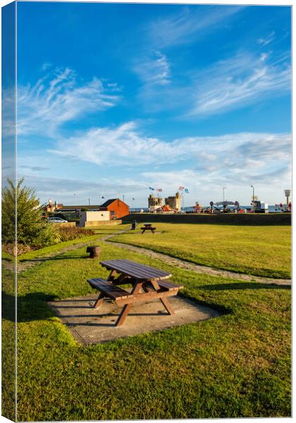 Withernsea  Canvas Print by Steve Smith