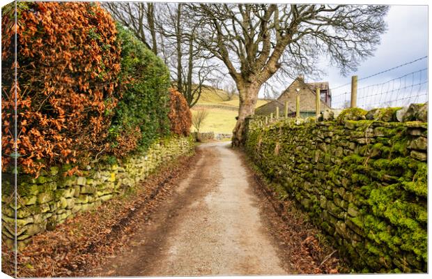 Muker Swaledale Canvas Print by Steve Smith