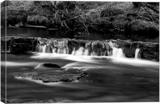 The River Swale Keld Mono Canvas Print by Steve Smith