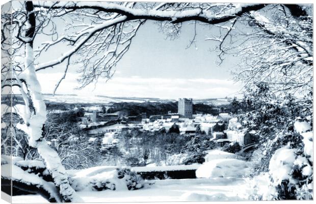 Winter Wonderland in Richmond Canvas Print by Steve Smith