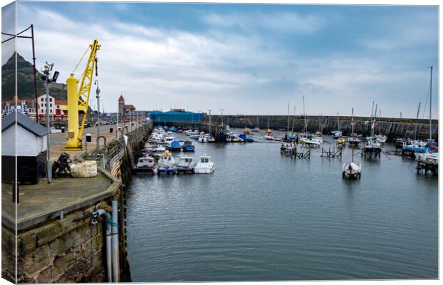 Scarborough Marina Canvas Print by Steve Smith