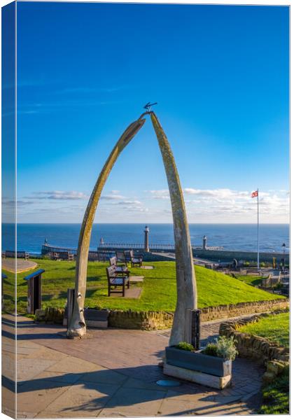 Majestic Whitby Whalebones Canvas Print by Steve Smith