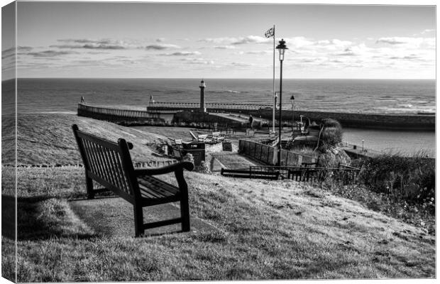 Whitby Views Canvas Print by Steve Smith