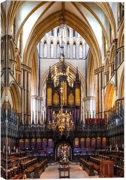 Lincoln Cathedral Canvas Print by Steve Smith