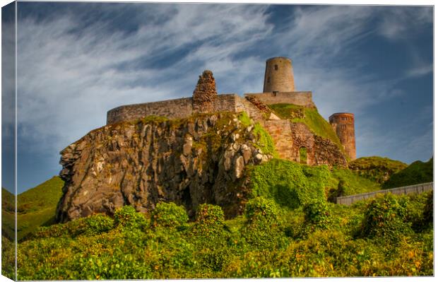 Bamburgh Castle Canvas Print by Steve Smith