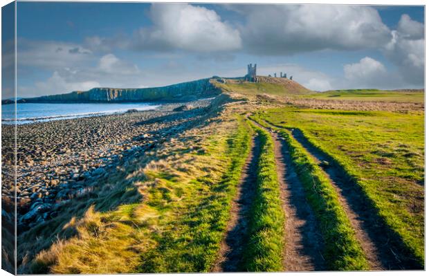 Majestic ruins of Dunstanburgh Canvas Print by Steve Smith