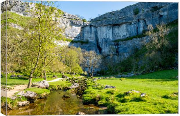 Malham Cove: Natural Limestone Masterpiece. Canvas Print by Steve Smith