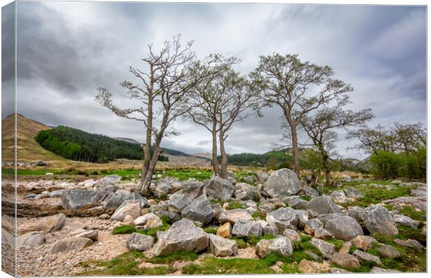 Captivating Loch Etive's Majestic Charm Canvas Print by Steve Smith