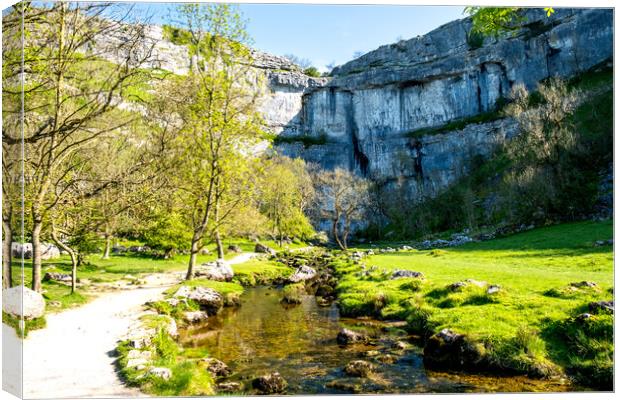 Malham Cove: Nature's Masterpiece Canvas Print by Steve Smith