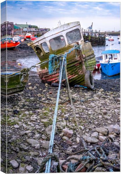 Seaside Paradise: Paddy's Hole Harbour Canvas Print by Steve Smith