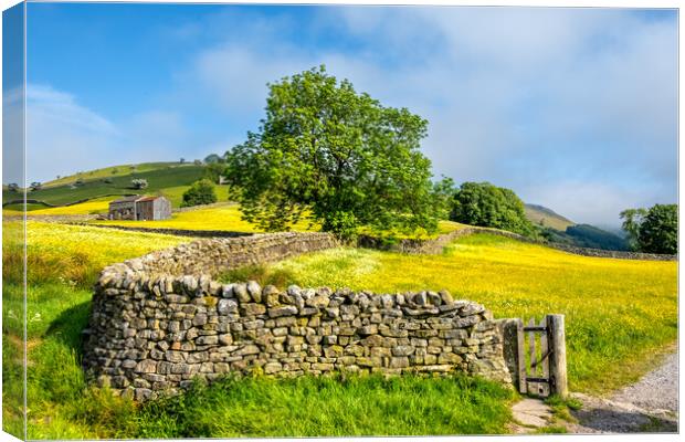 Muker Meadows In Swaledale Canvas Print by Steve Smith