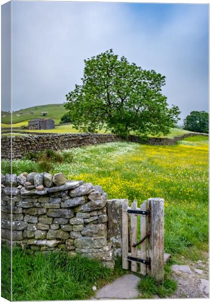 Meadows at Muker Canvas Print by Steve Smith