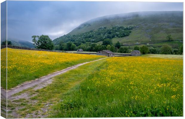 Yellow Meadows At Muker Canvas Print by Steve Smith