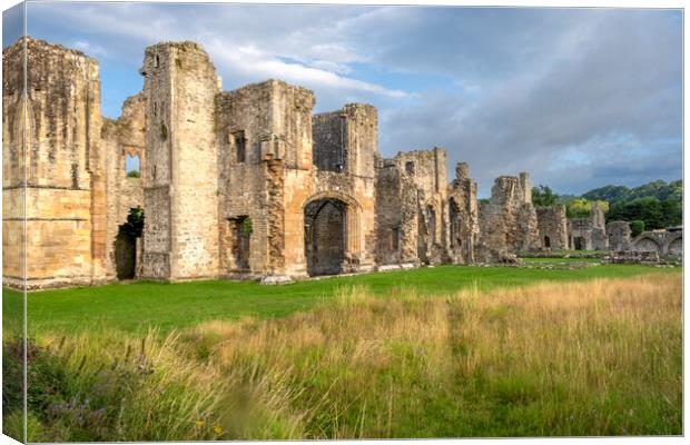 Easby Abbey Richmond North Yorkshire Canvas Print by Steve Smith