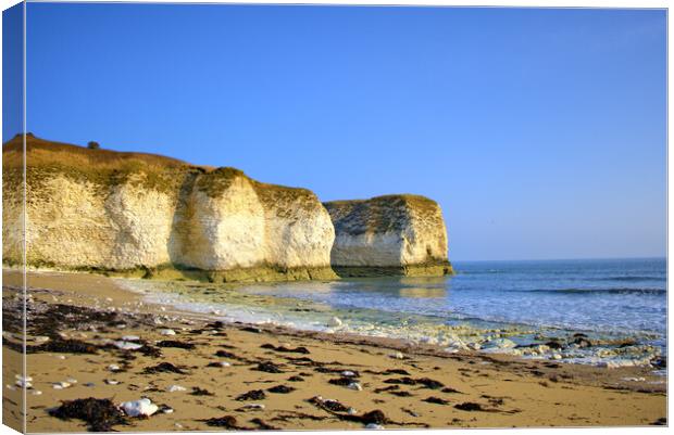 Selwicks Bay East Yorkshire Canvas Print by Steve Smith