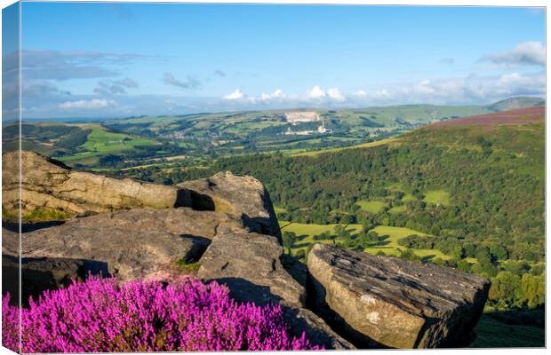 Bamford Edge Heather Canvas Print by Steve Smith