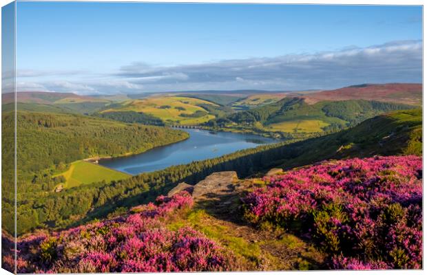 Bamford Edge Heather Canvas Print by Steve Smith