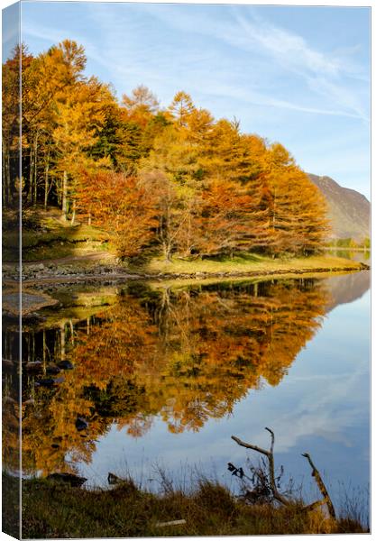 Buttermere Reflections Canvas Print by Steve Smith