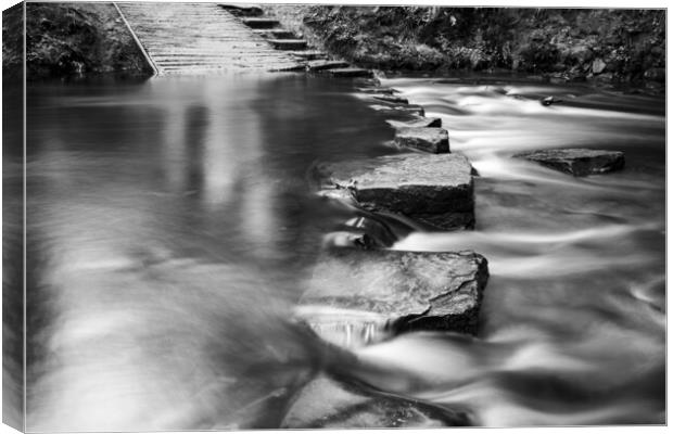 Rivelin Valley Stepping Stones Canvas Print by Steve Smith