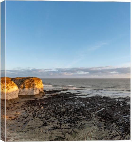 Selwicks Bay East Yorkshire Canvas Print by Steve Smith