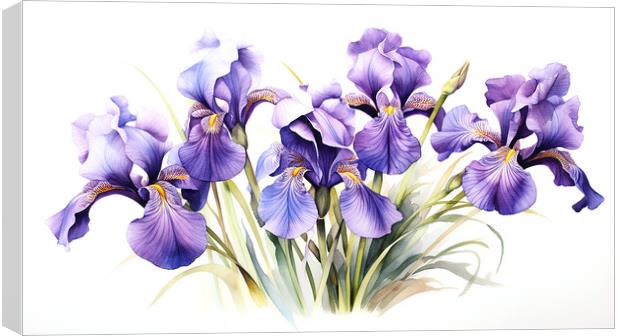 Watercolour Irises Canvas Print by Steve Smith