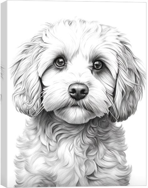 Pencil Drawing Cockapoo Canvas Print by Steve Smith