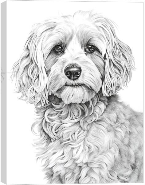 Pencil Drawing Cockapoo Canvas Print by Steve Smith