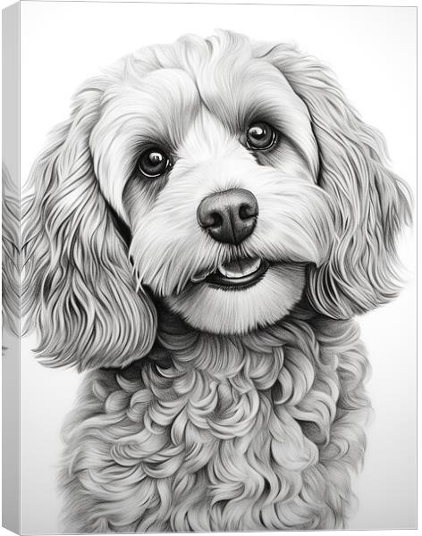 Pencil Drawing Cavapoo Canvas Print by Steve Smith