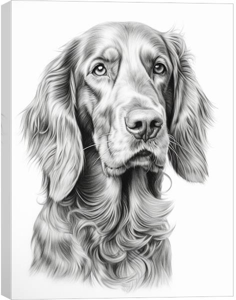 Pencil Drawing Irish Setter Canvas Print by Steve Smith