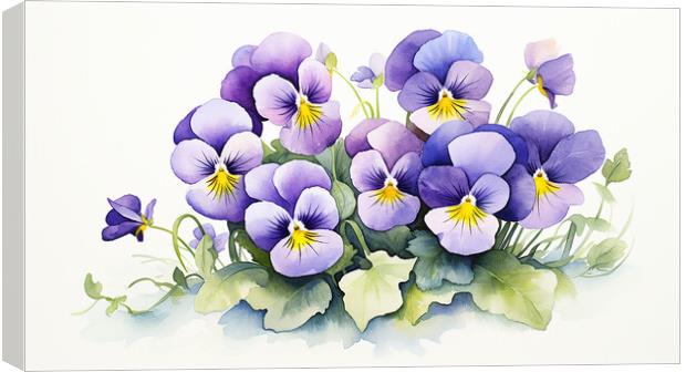Watercolour Violas Canvas Print by Steve Smith