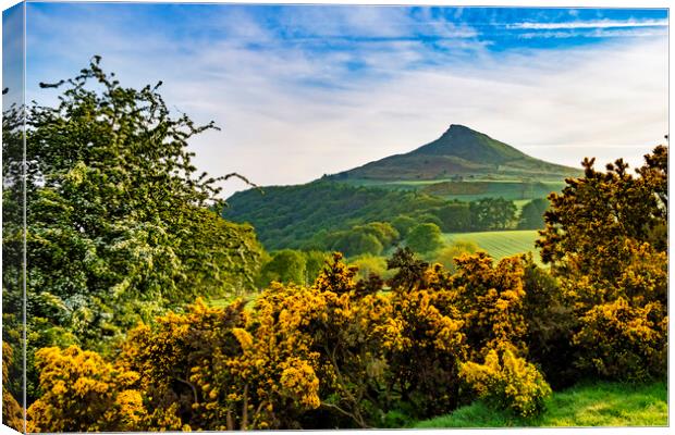 Roseberry Topping Canvas Print by Steve Smith